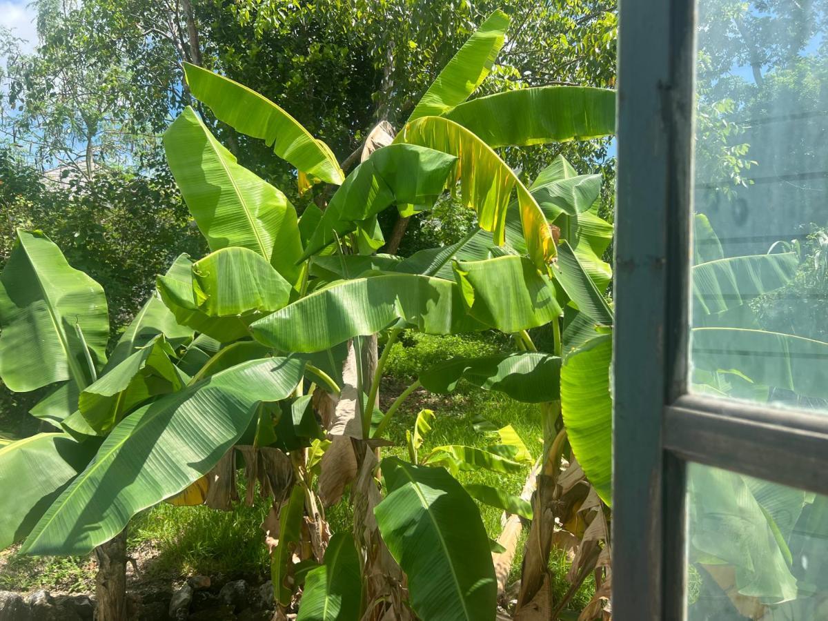 Garden Penthouse Appartamento Nassau Esterno foto